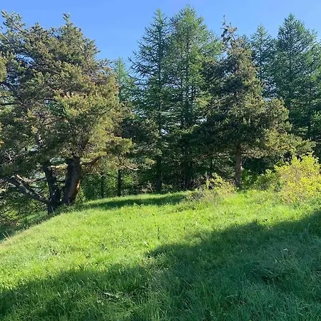 Domek alpejski Gran Bosco: Per 6 Persone *